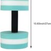 AquaFitness Set of 2 Foam Dumbbells for Swimming Pool Exercise, Sports Aquatic Workout Equipment