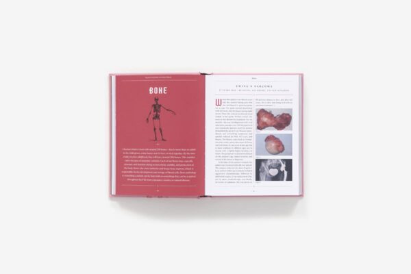 Nicole Angemi's Anatomy Book: A Catalog of Familiar, Rare, and Unusual Pathologies