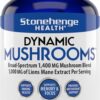 Stonehenge Health Dynamic Mushrooms - 100% Fruiting Bodies & Extracts - Lion’s Mane, Chaga, Maitake, Shiitake, Reishi - Nootropic Brain & Immune System Support - No Mycelium - 60 Veggie Capsules