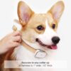 G1-US GPS Pet Tracker, Real-Time Dog Locator & Activity Monitor, 30 Days Ultra Long-Lasting Battery Lightweight Waterproof Dog Finder (White)