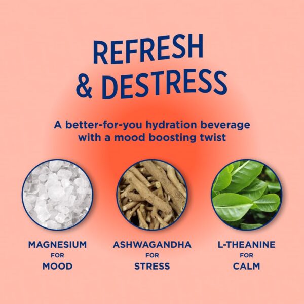 Leisure Project Electrolyte Refresher, Tropical Mango (16oz Cans, 12 Pack) Mango Hydration Drink w/Magnesium & Ashwagandha For Mood & Stress Support, Low Sugar Drink w/Real Fruit, Vitamins & Minerals