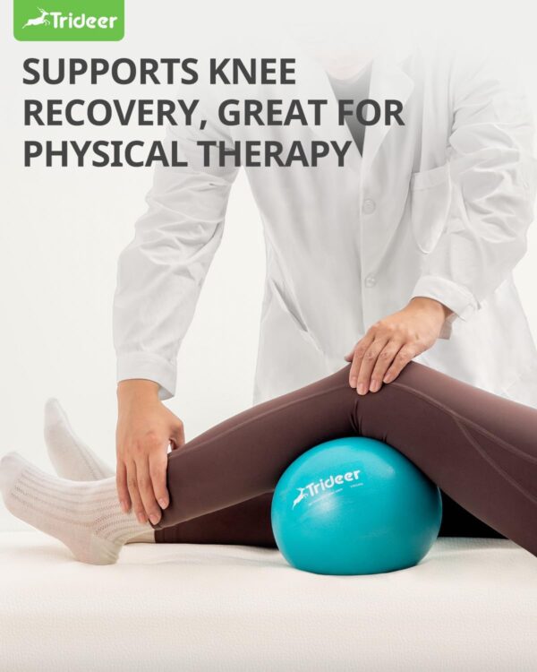 Trideer Pilates Ball 9 Inch with Pump,Core Ball, Mini Pilates Ball for Physical Therapy,Small Exercise Ball Between Knees,Small Workout Ball for Barre,Yoga,Stability,Workout,Office&Home Gym