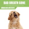 Dog Dental Spray Removes Tartar, Plaque and Freshens Breath Instantly. The Most Advanced Dental Spray for Healthy Teeth, Gums and Oral Health Care for Your Dog, Cat or Pet - 1-8 oz. bottle
