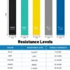 Resistance Loop Exercise Bands for Working Out, Fitness Elastic Bands, Workout Bands for Home Gym, Stretching, Yoga, Pilates, Physical Therapy (5pcs Set)
