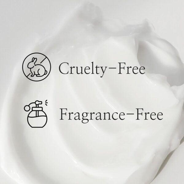 Beauty of Joseon Dynasty Cream Hydrating Face Moisturizer for Dry, Sensitive Skin, Korean Skincare for Men and Women 50ml, 1.69 fl.oz.