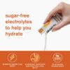 Skratch Labs Sample Pack - Hydration Drink Mix, Everyday Electrolyte Drink Mix, Energy Chews, Energy Bar - Sports Nutrition Trial Variety Pack - for Running, Cycling, Hiking and Endurance Activities