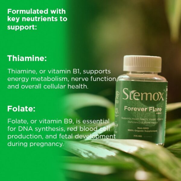 Forever Flare 775MG | Vitamin C | Multivitamins For Men | Ascorbic Acid | Multivitamin Women | 60 Capsules | Non-GMO | 100% Organic | Vitamina C | Womens Vitamins | Organic Vitamin C Supplement