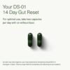 Seed 14 Day Gut Reset - Prebiotic and Probiotic for Women & Men - Digestive Health, Gut Health, Rapid Gut Recovery, Bloating & Constipation Relief - Vegan & Shelf-Stable - 28 Capsules (14-Day Supply)