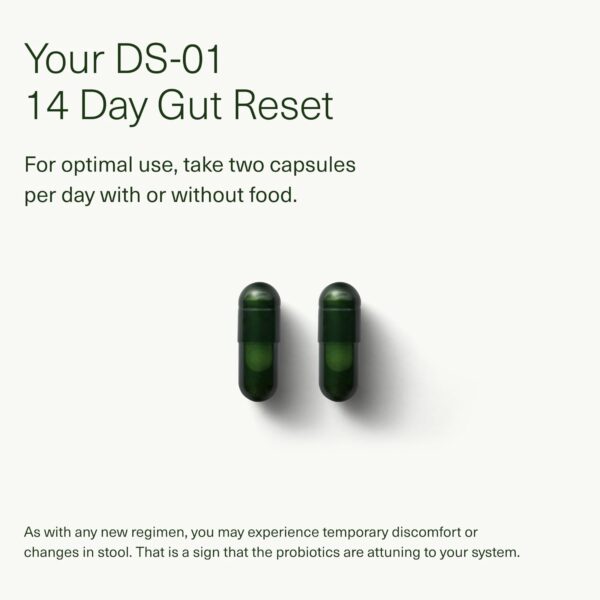 Seed 14 Day Gut Reset - Prebiotic and Probiotic for Women & Men - Digestive Health, Gut Health, Rapid Gut Recovery, Bloating & Constipation Relief - Vegan & Shelf-Stable - 28 Capsules (14-Day Supply)
