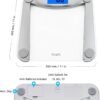 Vitafit Digital Bathroom Weight Scale for Body Weight, High Accuracy Assured by Weighing Professional Since 2001,Extra Large Blue Backlit LCD and Step-On, 400lb/180kg, Clear Glass