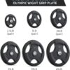 SPART Weight Plate 2-Inch Rubber Coated Olympic Grip Plate for Barbell,Solid Cast Iron Weight Plates in Pairs or Single for Strength Training,Weightlifting,Crossfit,Home Gym(5LB/10LB/25LB/35LB/45LB)