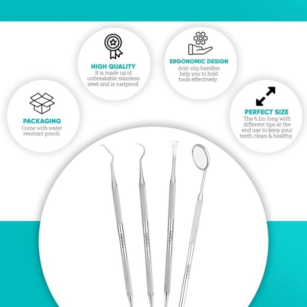 619DGIoJpCL._SL1500_.jpg Dental Tools HOKIN Plaque Remover Teeth Cleaning Tool 4 Pcs Dental Care Kit Tooth Filling Repair Set Stainless Steel Dental Tools for Men Women Kids and Pet Care