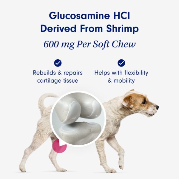 PetLab Co. Joint Care Chews for Dogs - High Levels of Glucosamine, Green Lipped Mussels, Omega 3 and Turmeric - Hip and Joint Supplement for Dogs to Actively Support Mobility