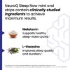 NeuroQ Sleep Now - Natural Sleep Support Supplement - Maintain Healthy Sleep Cycles & Brain Function - Melatonin & L-Theanine - Non-Habit Forming - 30 Mint Oral Strips