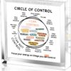 Mental Health Things I Can Control Decor - Therapy Office Acrylic Gifts - Psychology Art Decor for Treatment Room Office School Classroom - Art Decorations for Therapist Office Living Room Bedroom
