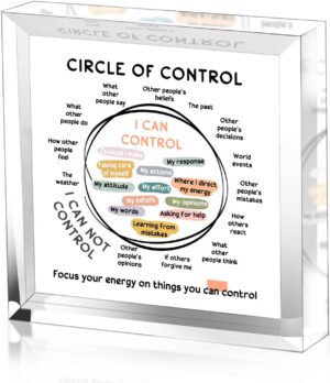 Mental Health Things I Can Control Decor - Therapy Office Acrylic Gifts - Psychology Art Decor for Treatment Room Office School Classroom - Art Decorations for Therapist Office Living Room Bedroom