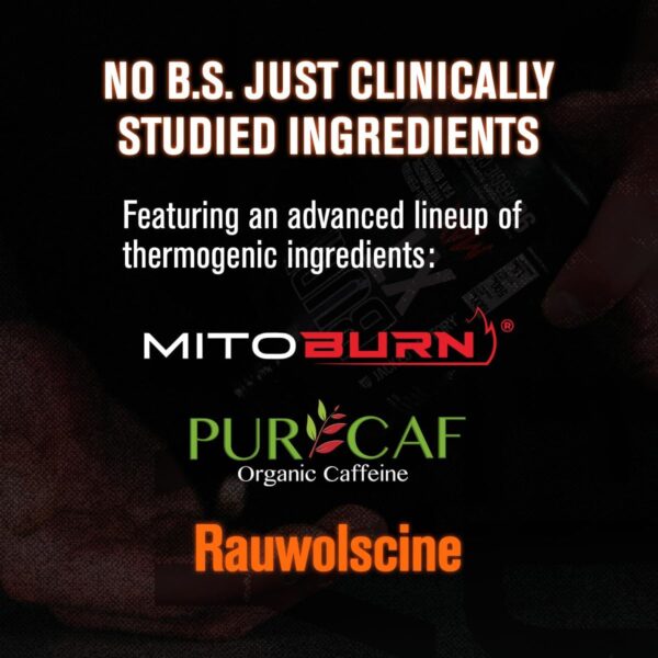 Jacked Factory Burn-XT Max - High-Performance Thermogenic Fat Burner & Appetite Suppressant for Weight Loss w/PurCaf Organic Caffeine, MitoBurn, Green Tea, Acetyl L Carnitine & More - 90 Capsules