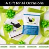 Cold Kicker Shower Steamers Aromatherapy, Eucalyptus Shower Steamer, Shower Bombs Made in the USA, Menthol Shower Steamer, Self Care Gifts, Christmas Gifts, Shower Steamers for Women and Men
