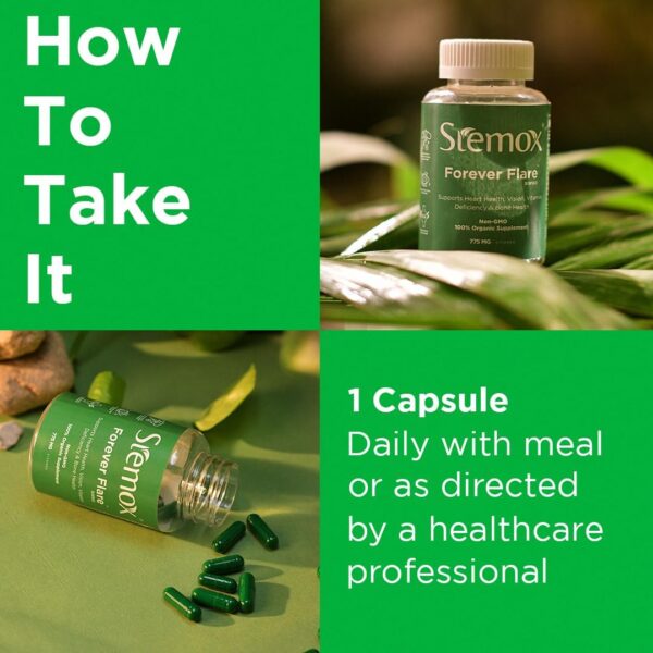 Forever Flare 775MG | Vitamin C | Multivitamins For Men | Ascorbic Acid | Multivitamin Women | 60 Capsules | Non-GMO | 100% Organic | Vitamina C | Womens Vitamins | Organic Vitamin C Supplement