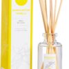 Natural Reed Diffuser Set by DANI Naturals - Warm Sandalwood Vanilla Scent - Aromatherapy Essentials Oils - Alcohol Free - 10 Diffuser Sticks - 3.5 Ounce Glass Bottle