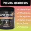 Super Greens Powder | Superfood to Support Digestive Enzymes and Bloating with 2 Billion Probiotics | Support Energy Levels & Gut Health | GMP Certified, Non-GMO | Tropical Fruit Refresher