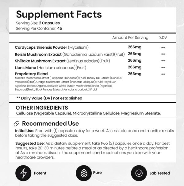 ACEWORKZ 10 Mushroom Complex Supplement - Lions Mane, Reishi and Cordyceps & More - Nootropic for Brain Health, Memory & Focus - Immunity & Energy (90 Capsules)
