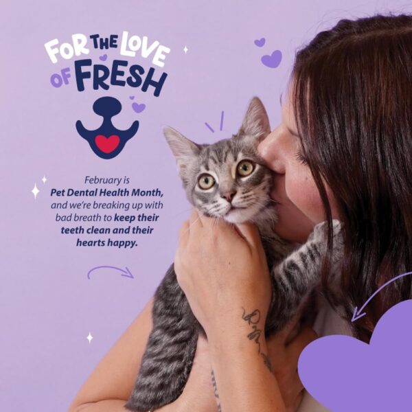 Dental Fresh Water Additive for Cats, Original Formula, 8 oz – Cat Breath Freshener – Products for Cats to Help Overall Cat Dental Health