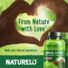 NATURELO Immune Support – Vitamin C, Elderberry, Zinc, Echinacea – Natural Immunity Boost w/Antioxidant, Herbal & Mineral Defense - 60 Vegan Capsules (Pack of 2)