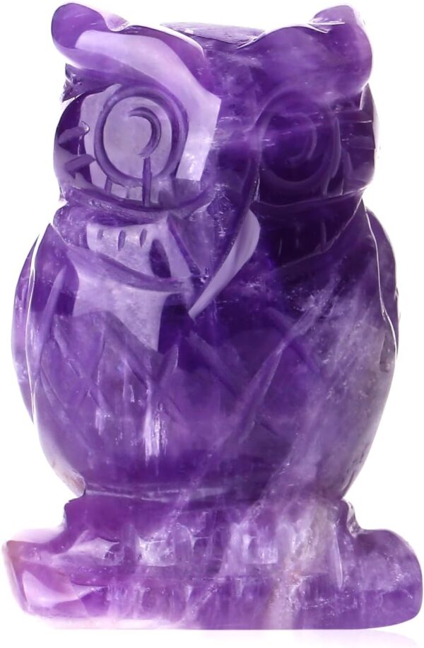 QINJIEJIE 2" Amethyst Owl Decor Crystals Stone Figurines Carved Gemstone Owls Statue Healing Home Room Sculpture Natural Lucky Owl Decorations Cute Purple Office Desk for Women Men