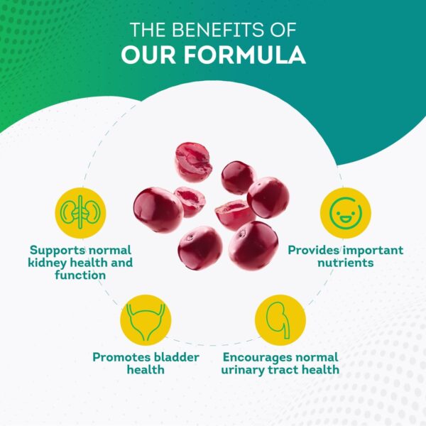PurePremium Supplements - Kidney Support with Cranberry Extract & Astragalus - Kidney Health Supplement for Urinary Tract, Bladder, Cleanse, Detox & Repair - 60 Cranberry Pills Women and Men