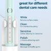 Rtauys M5 Sonic Electric Toothbrush for Adults and Kids - Rechargeable Electric Toothbrush Kids Ages 12+ and Adults with 8 Brush Heads & Travel Case, 120 Days Battery Life - Light Green