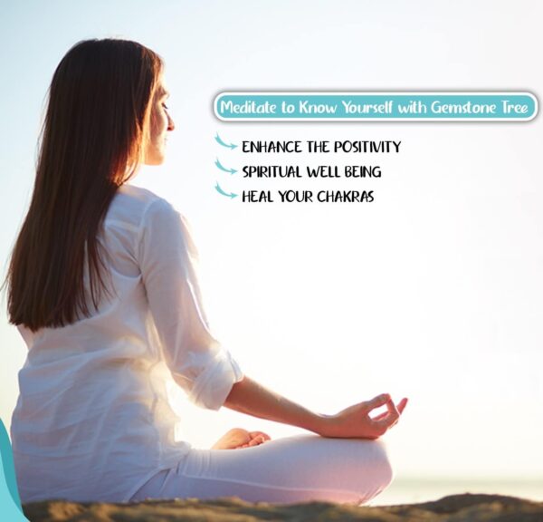 7 Chakra Crystal Tree of Life - Handmade Feng Shui Bonsai, Attract Good Luck - Gemstone Tree, Home Decoration Crystals - Seven Chakra Tree for Positive Energy, Meditation Accessories, Money Tree Gift