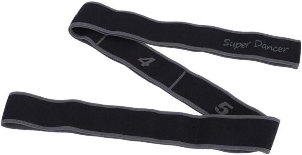 Exercise Strap, Yoga Stretch Assist Strap with 8 Numbered Loops, Band for Yoga Pilates Dance and Gymnastics Workout, Kids Dancing Assistance(Grey)