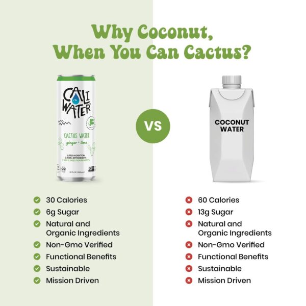Caliwater - Organic Cactus Water - Ginger and Lime - 5g Sugar, 25 Calories - Coconut Water Alternative - Natural Plant Based Hydration - Skin Care, Electrolyte Drinks - Flavored Water - 12 Cans