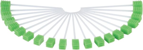 Toothette® Oral Care Plus Dental Swabs - Single Use - Untreated - Bag of 20 Swabs