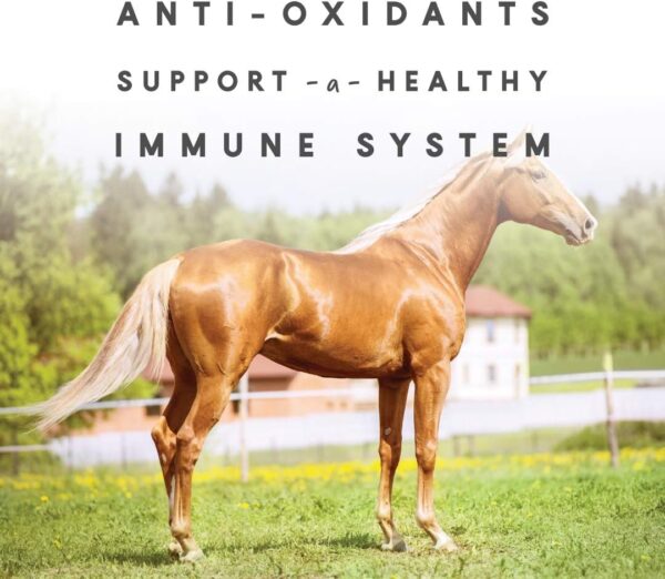 Manna Pro Sho-Glo Supplement for Horses - Complete Vitamin & Mineral Supplement for Healthy Skin & Coat - 25 Pounds