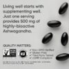 Sports Research® Ashwagandha Softgels with Coconut MCT Oil - Natural Ayurvedic Adaptogen Made with Shoden® Ashwa for Relaxation, Calm & Sleep Support - Gluten Free & Vegan Friendly - 120 Count