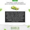 SHIELD 32ct ALL NATURAL Low Cal Electrolyte Healthy Hydration Multiplier Powder Packets, Eco-Friendly Pouch, Water Booster Drink Mix for Rapid Dehydration Relief and prevention, Vegan, Non-GMO