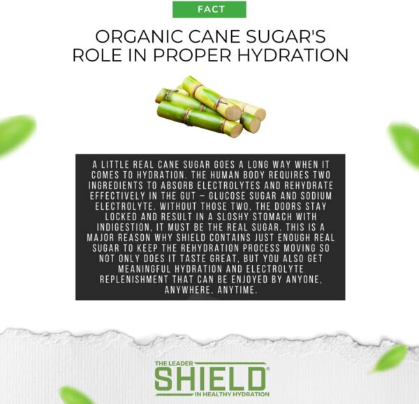 SHIELD 32ct ALL NATURAL Low Cal Electrolyte Healthy Hydration Multiplier Powder Packets, Eco-Friendly Pouch, Water Booster Drink Mix for Rapid Dehydration Relief and prevention, Vegan, Non-GMO
