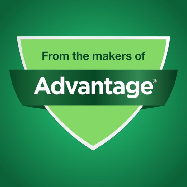 Synovi G4 Dog Joint Supplement Chews, 60-Count, for Dogs of All Ages, Sizes and Breeds