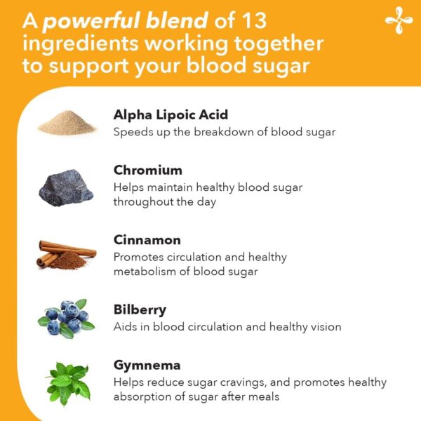 LifeSeasons - GS Stabili-T - Blood Sugar Support Supplement - Healthy Circulation & Vision - Maintain Normal Levels - Chromium Cinnamon Gymnema Bilberry & Alpha Lipoic Acid - 90 Capsules