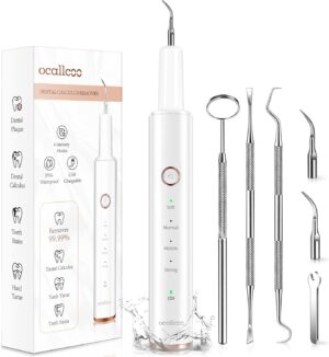 Plaque Remover for Teeth, Electric Tooth Cleaner Tartar Remover for Teeth with LED Light,4 Modes Rechargeable Teeth Cleaning Kit with Dental Tools, 2 Replaceable Heads (White A)