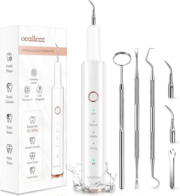 Plaque Remover for Teeth, Electric Tooth Cleaner Tartar Remover for Teeth with LED Light,4 Modes Rechargeable Teeth Cleaning Kit with Dental Tools, 2 Replaceable Heads (White A)