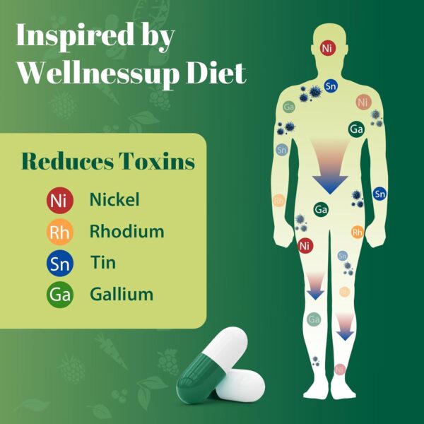 2000 MG Plant-Based Detox Cleanse – Natural Toxin Flush for Liver, Gut & Colon – Antioxidant & Digestive Support – Zeolite Detox – Fast-Acting Detox Complex for Women & Men – 120 Capsules