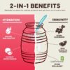 Salud 2-in-1 Hydration Packets + Immunity Electrolytes Powder, Guava - Guayaba Agua Fresca Drink Mix, Elderberry, Dairy & Soy Free, Non-GMO, Gluten Free, Vegan, Low Calorie, 1g Sugar (15 Servings)