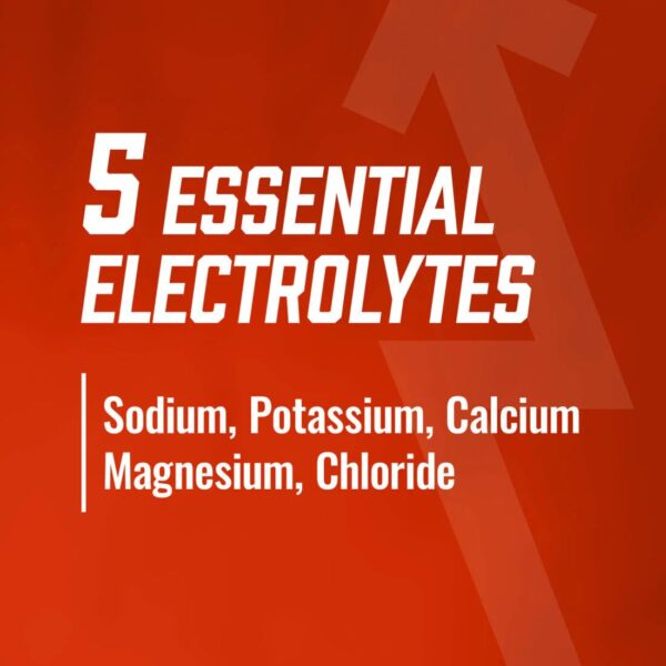 BioSteel Orange Sports Drink 12-Pack 16.7 oz - Instant Hydration Sugar Free Recovery Drink with Element Electrolytes & Vital Nutrients for Optimal Performance
