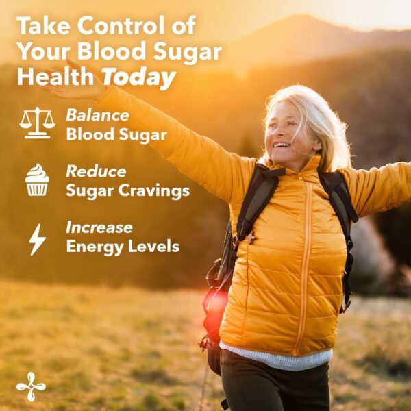 LifeSeasons - GS Stabili-T - Blood Sugar Support Supplement - Healthy Circulation & Vision - Maintain Normal Levels - Chromium Cinnamon Gymnema Bilberry & Alpha Lipoic Acid - 90 Capsules