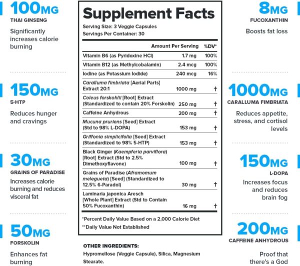 LEGION Phoenix Thermogenic Fat Burners & Weightloss Pills - 30 Serving, 90 Capsules (Caffeine)