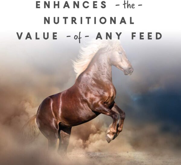 Manna Pro Sho-Glo Supplement for Horses - Complete Vitamin & Mineral Supplement for Healthy Skin & Coat - 25 Pounds