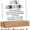 Inspirational Motivational Gifts Employee Appreciation Gifts Little Reminders You are Enough Clear Desk Decorative Sign Acrylic Sign With Wooden Stand for Office Desk Table Shelf